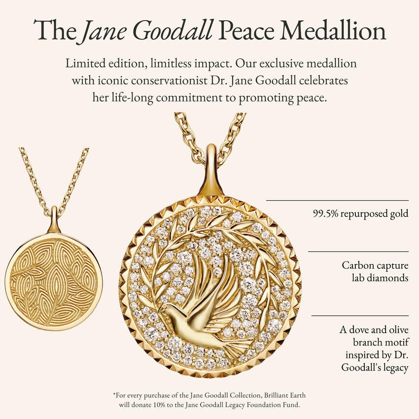 Jane Goodall Lab-Grown Diamond Peace Medallion Necklace (3/8 ct. tw.) in 14K Yellow Gold - Image 2